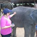 Thailand (228)